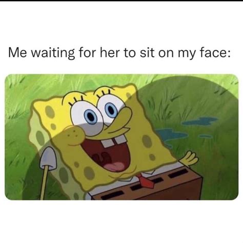 face sitting videos|Sit on my face